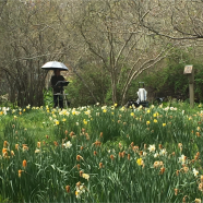 The Barnstable Plein Air Painters – Cape Cod Art Center