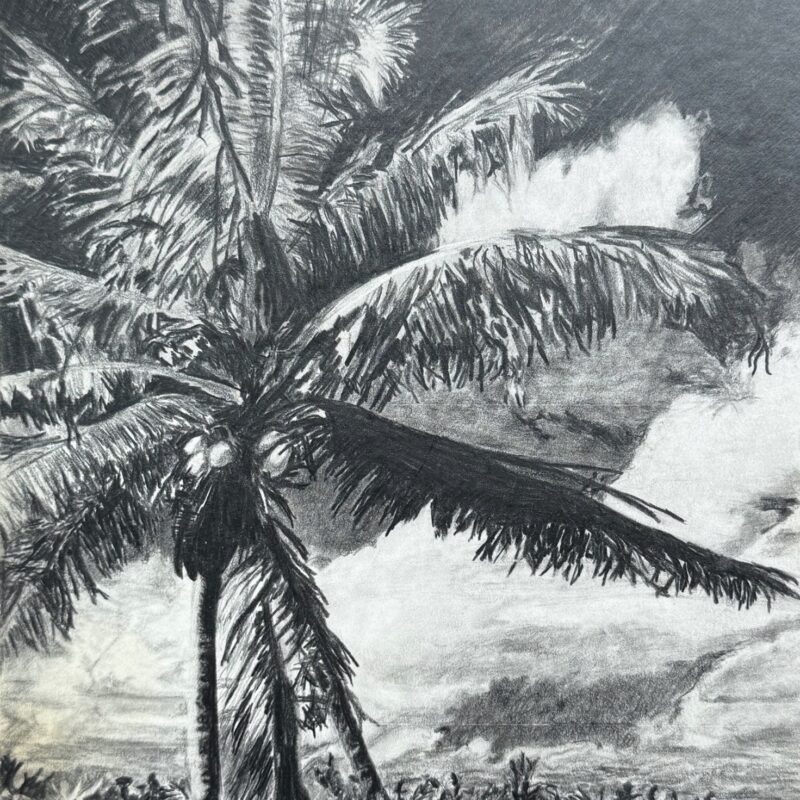 September 16-October 21, 2025 - Drawing Fundamentals with Sean Cassidy 