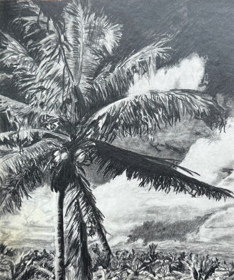 September 16-October 21, 2025 - Drawing Fundamentals with Sean Cassidy 
