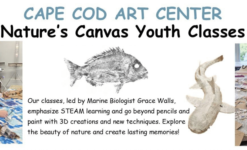 Nature's Canvas Youth Classes with Grace Walls