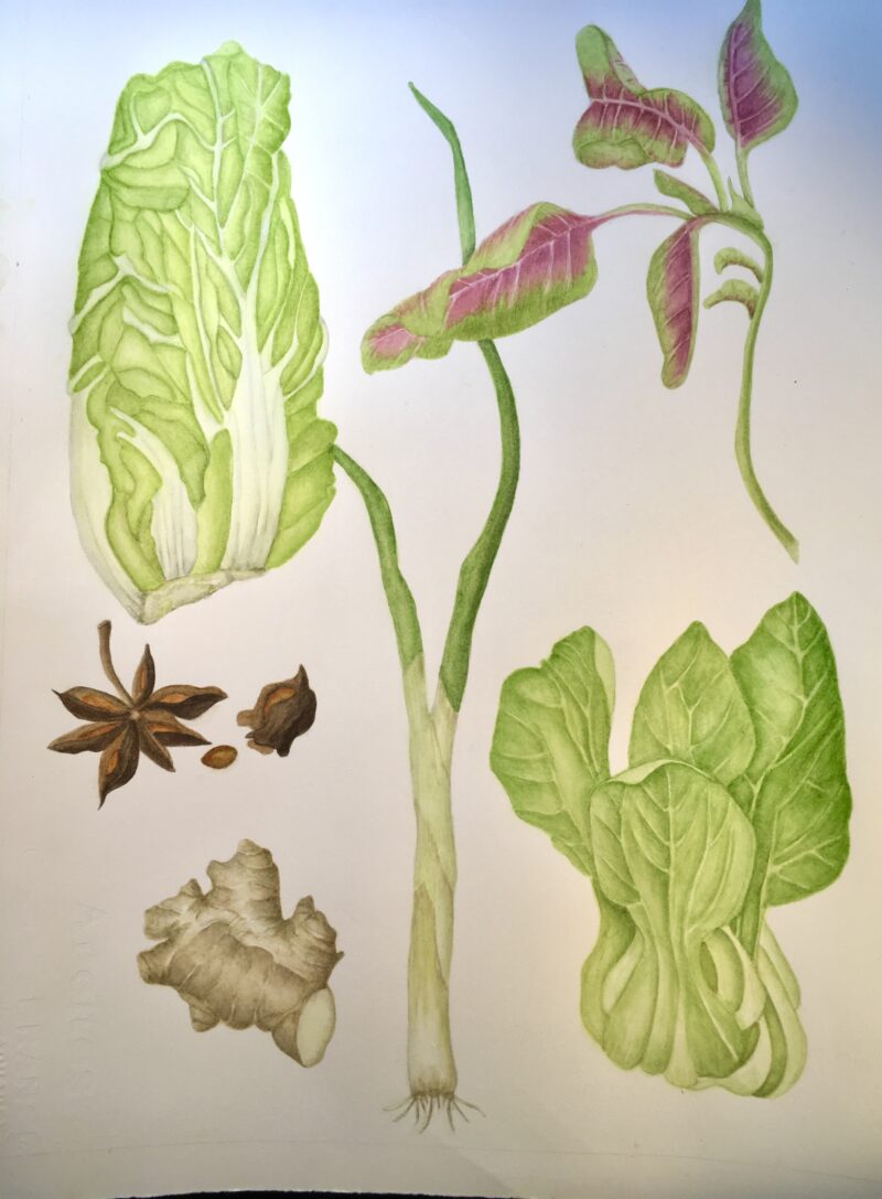 June 25-July 30- Leaves, Leaves and More Leaves with Lynn Shepherd