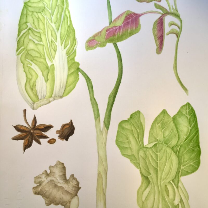 June 25-July 30- Leaves, Leaves and More Leaves with Lynn Shepherd