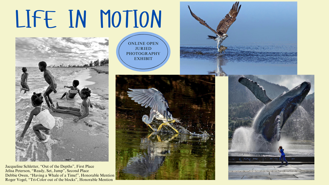 Life in Motion Online Open Juried Photography Exhibit