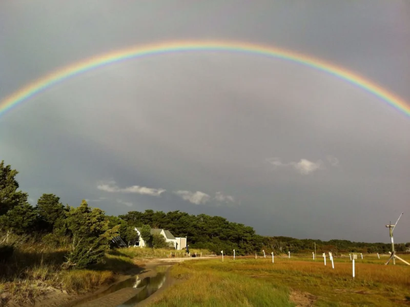 Multiple Dates - Sandy Neck Excursion: A Conversation with Nature with Mellissa Morris