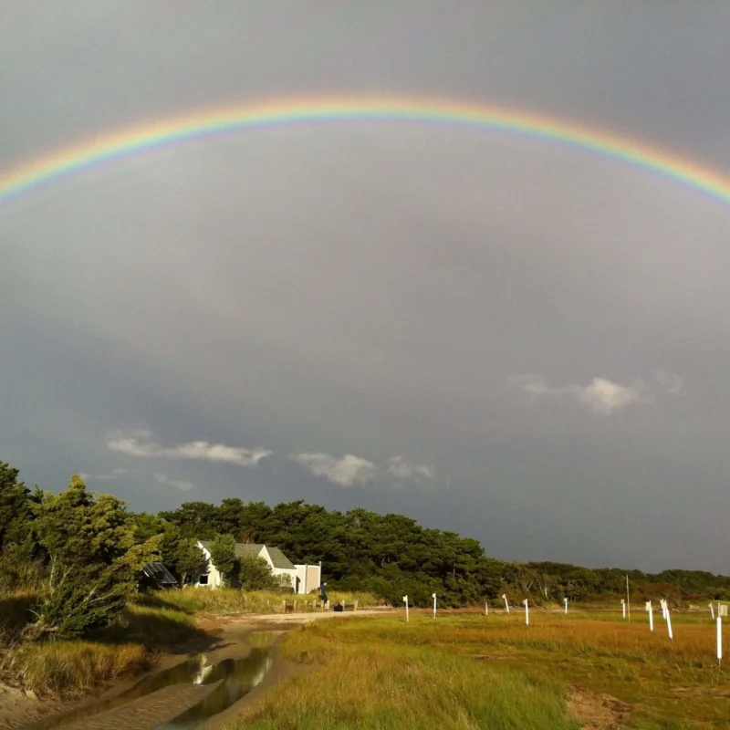 Multiple Dates - Sandy Neck Excursion: A Conversation with Nature with Mellissa Morris