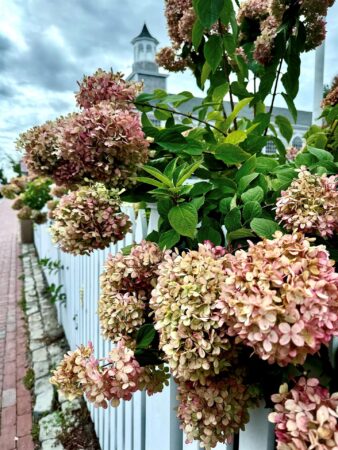 <b>Rosemary Davis</b></br> <i>P-Town</i> </br>Photography</br>10x8"</br>$100