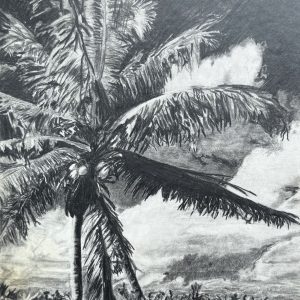 Black and white pencil drawing of a palm tree with coconuts and cloudy sky