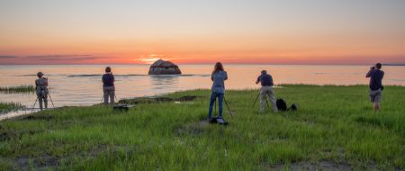 Group photographing sunset over water.