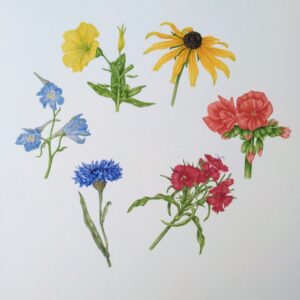 Watercolor: Spin the Color Wheel with Ellen Duarte Session 2