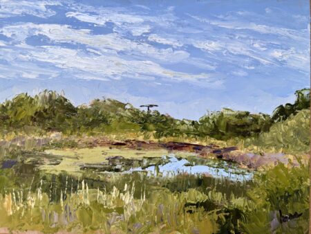 <b>Catherine Hess</b></br> <i>Cold Brook Pond</i> </br>Oil</br>11.5x14.5"</br>$550
