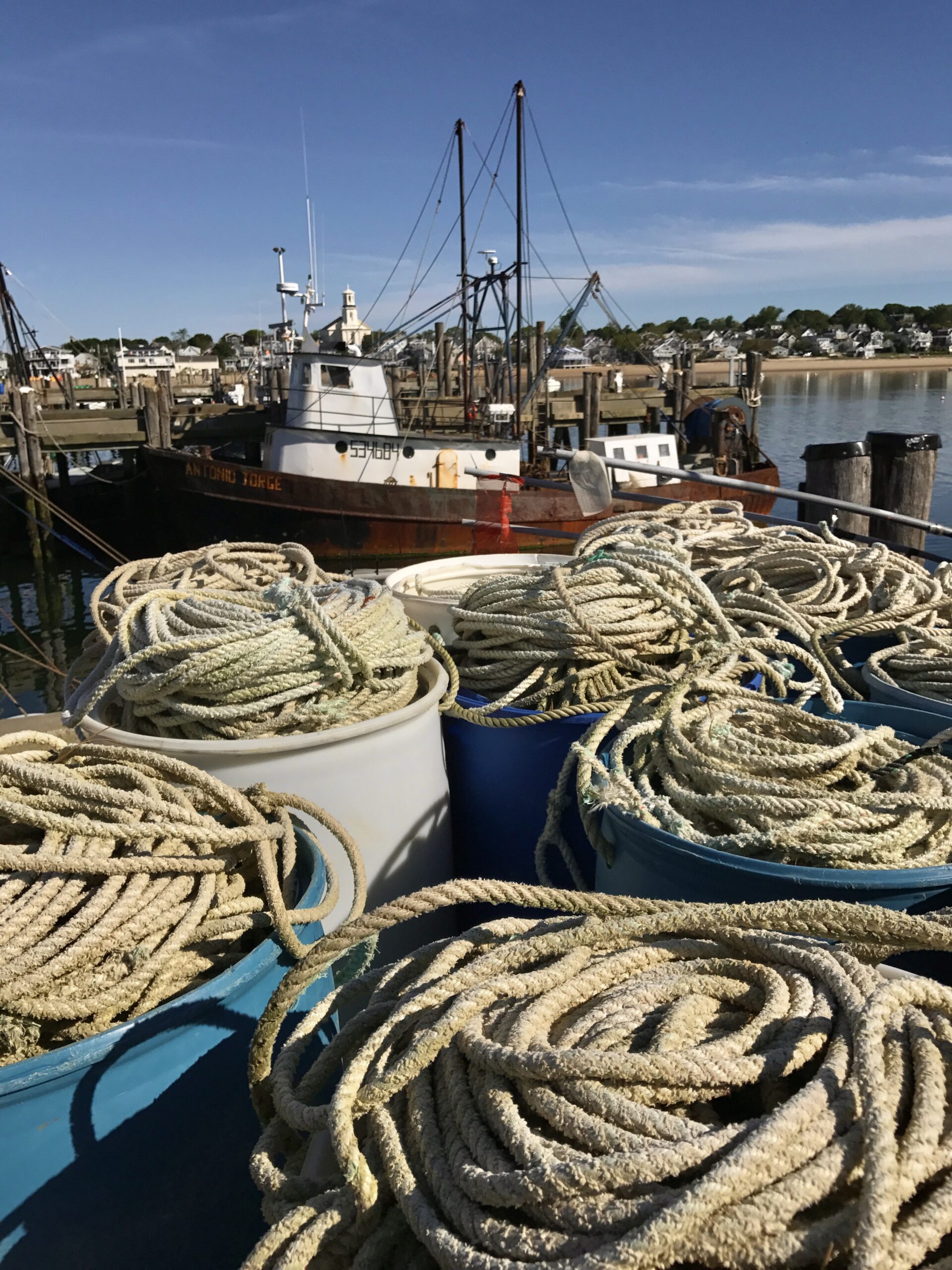 Take Better Photos Than You Ever Thought Possible — With the iPhone You Already Own with Jack Hollingsworth - August 12, 2026 - Image 4