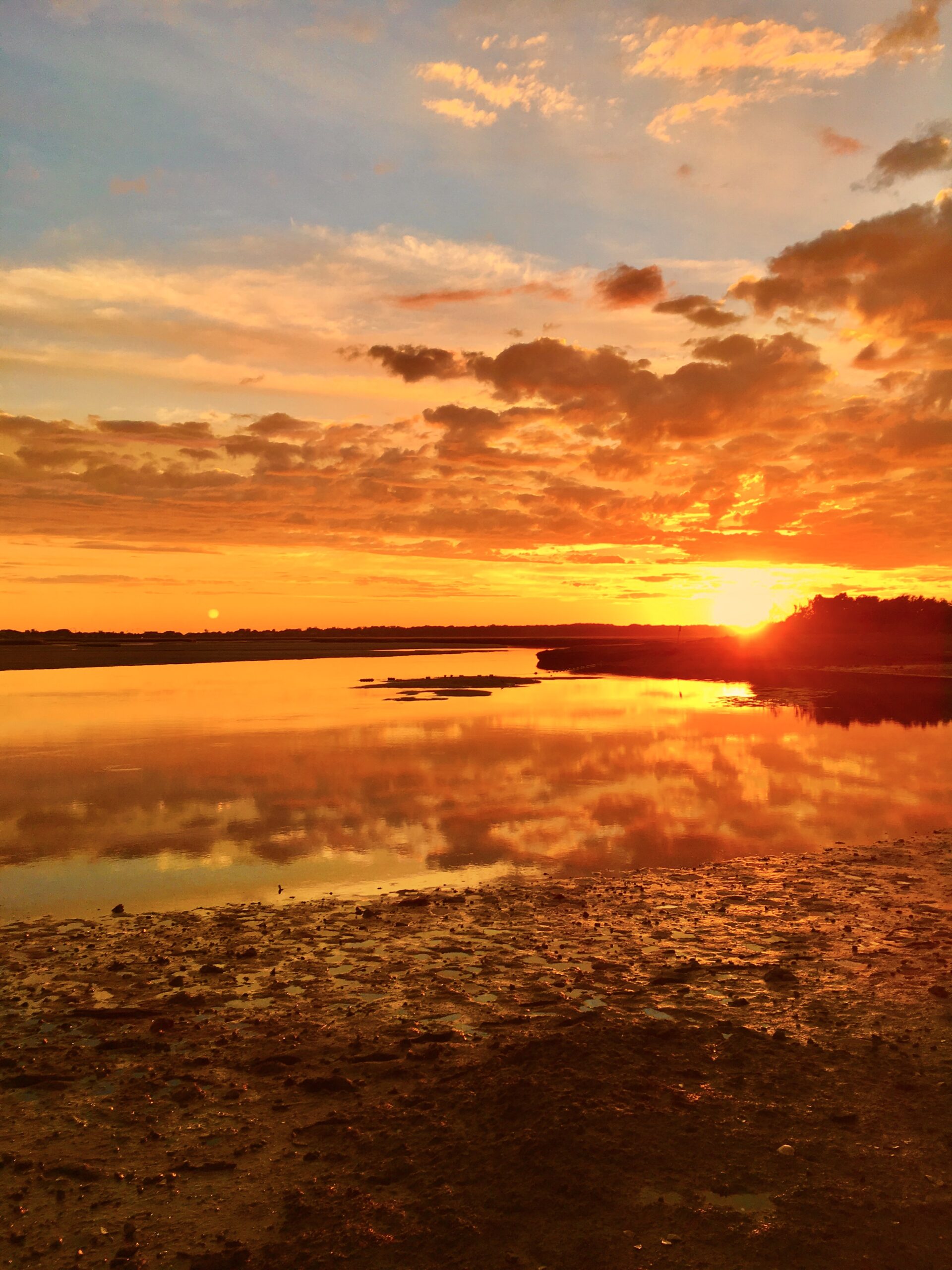 Take Better Photos Than You Ever Thought Possible — With the iPhone You Already Own with Jack Hollingsworth - August 12, 2026 - Image 2