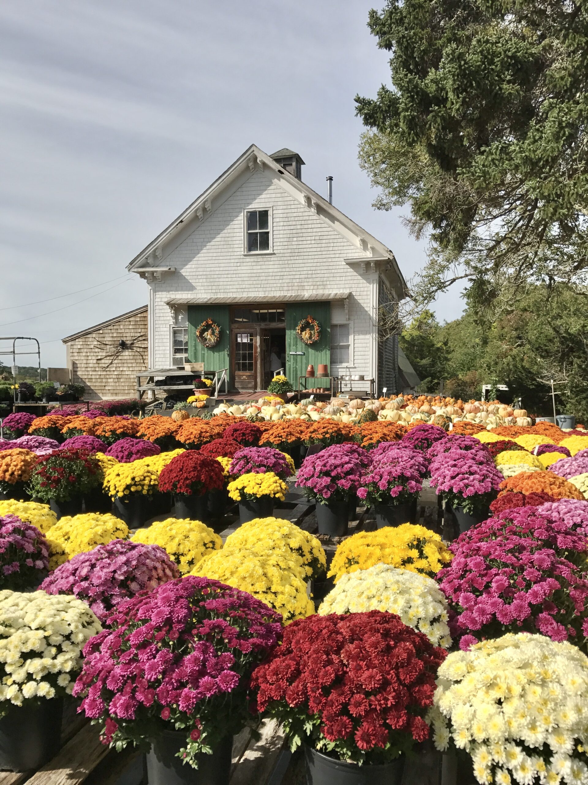 Take Better Photos Than You Ever Thought Possible — With the iPhone You Already Own with Jack Hollingsworth - August 12, 2026 - Image 7