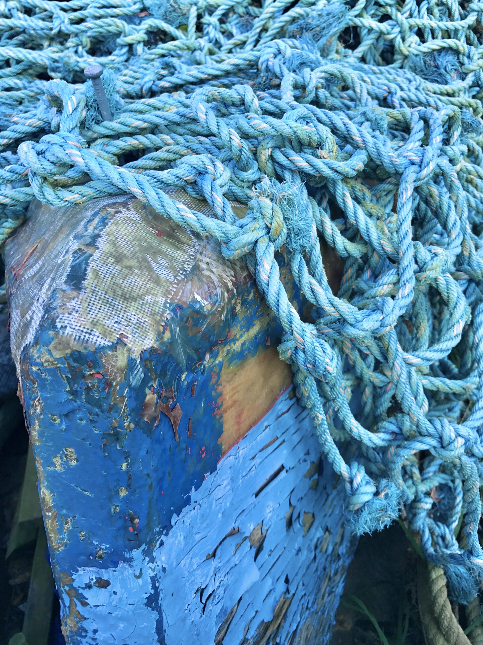 Take Better Photos Than You Ever Thought Possible — With the iPhone You Already Own with Jack Hollingsworth - August 12, 2026 - Image 5