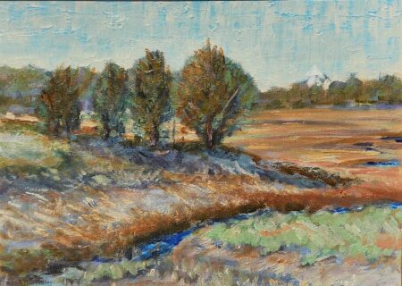 <b>Doris Boudens</b></br> <i>Truro Marsh</i> </br>Oil</br>11x14"</br>$2500