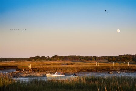 <b>Joseph McClure</b></br> <i>The Grassy Sea</i> </br>Photography</br>18x24"</br>$350