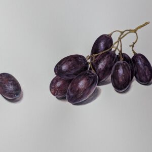 Get Real(istic) with Colored Pencil with Ellen Duarte - Session 4