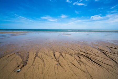<b>Carolyn Pelkey</b></br> <i>Out with the Tide</i> </br>Photography</br>15x25"</br>$300