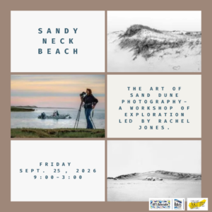 The Art of Sand Dune Photography Workshop