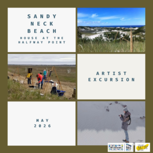 Sandy Neck Beach Excursion